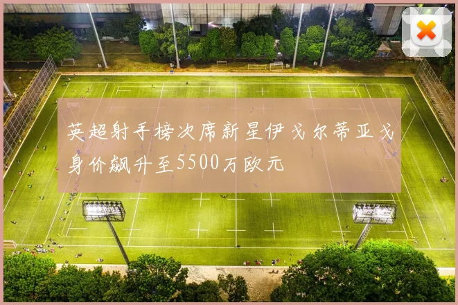 英超射手榜次席新星伊戈尔蒂亚戈身价飙升至5500万欧元